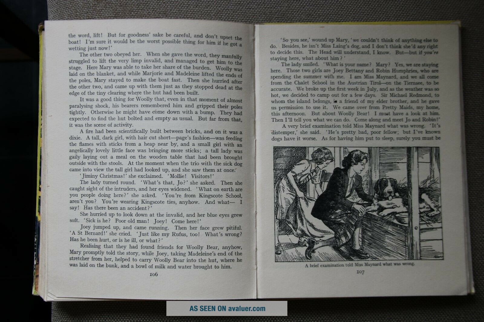The Chalet Book For Girls By Elinor M Brent - Dyer | #7639982