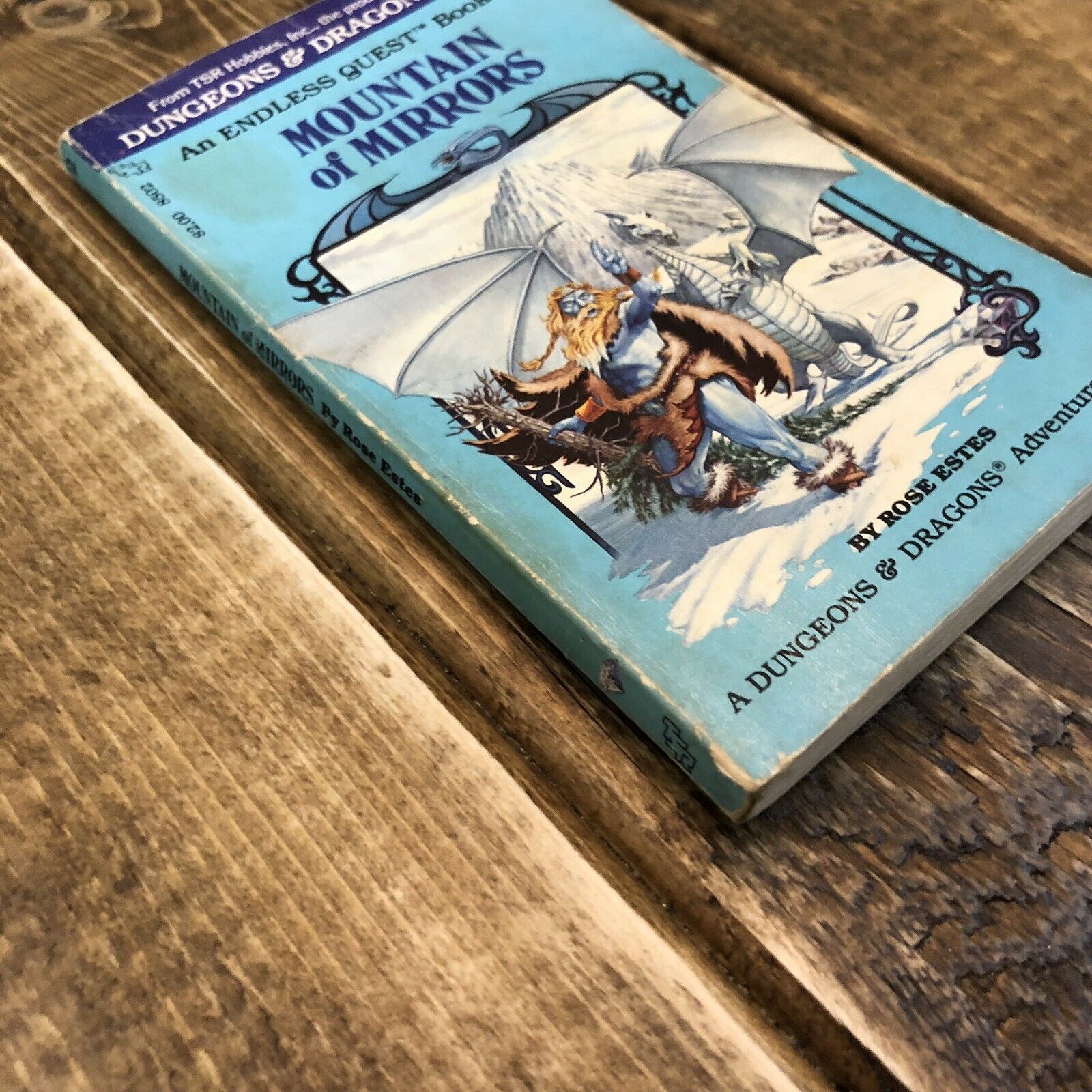 Endless Quest Books R D&D An Endless Quest Book 2 - Mountain Of Mirrors - TSR 1983 Dungeons ...